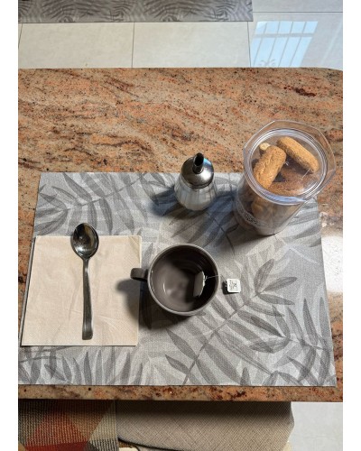 Tovaglietta Americana, antimacchia, Fantasia Felce Grigia, ideale per la tua colazione